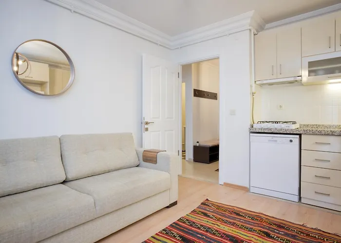 Appartamento Dublex 3 Bedrooms&2bathrooms &terrace Provincia di Istanbul