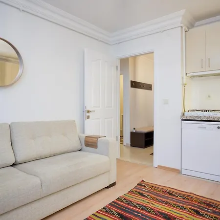 公寓 Dublex 3 Bedrooms&2bathrooms &terrace 伊斯坦布尔